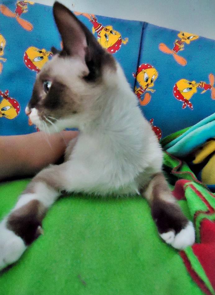 13438839_1244451645578613_8036558899846291022_n