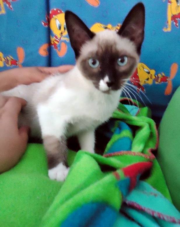 13439004_1244451638911947_5732241723139984830_n