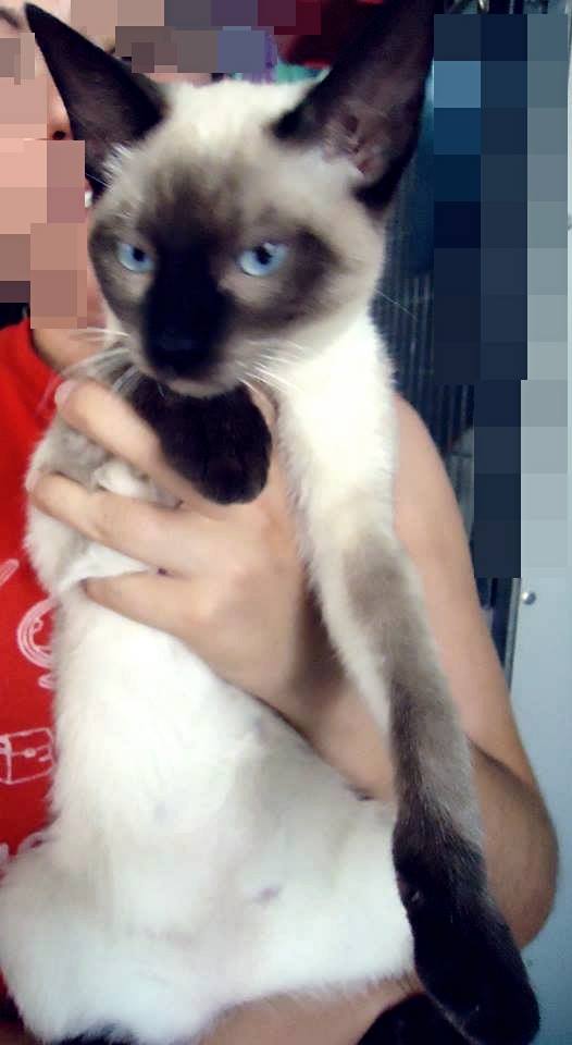 13512209_1244450202245424_6855062896630238280_n