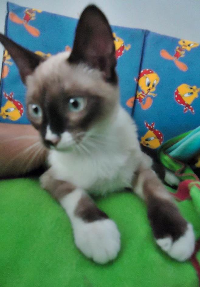 13606727_1244451678911943_8032172075865838891_n