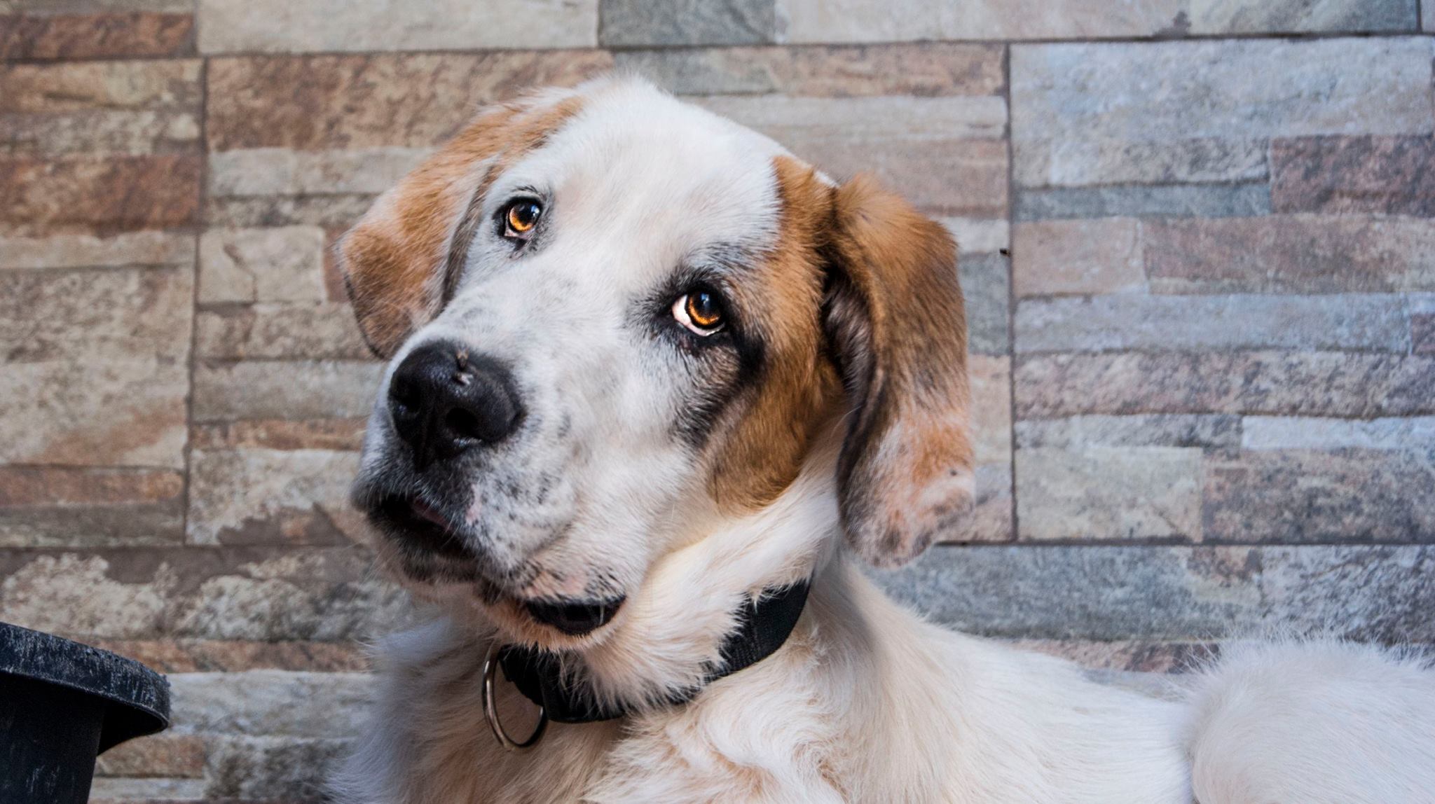 13668648_10209138579638151_7107999432296360250_o