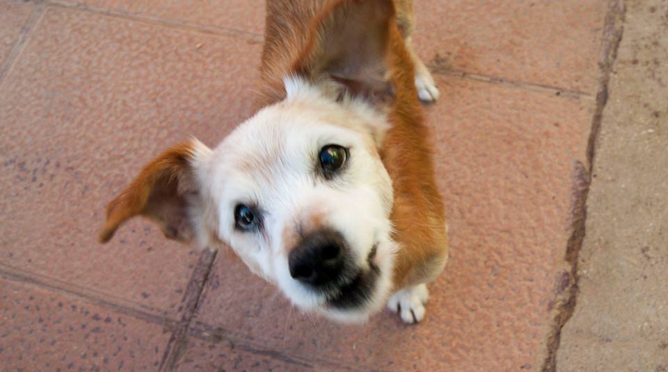 13669799_1257940710896373_6748299369537762454_n(1)