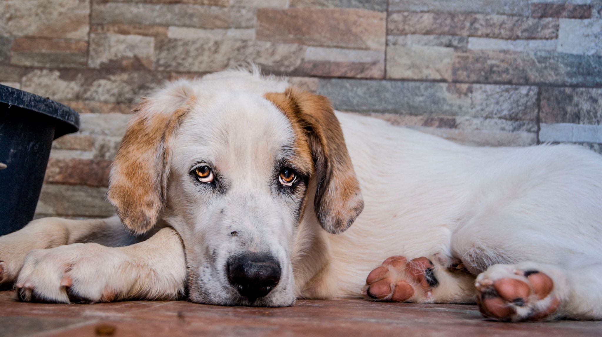 13690898_10209138579438146_7647291503363719990_o