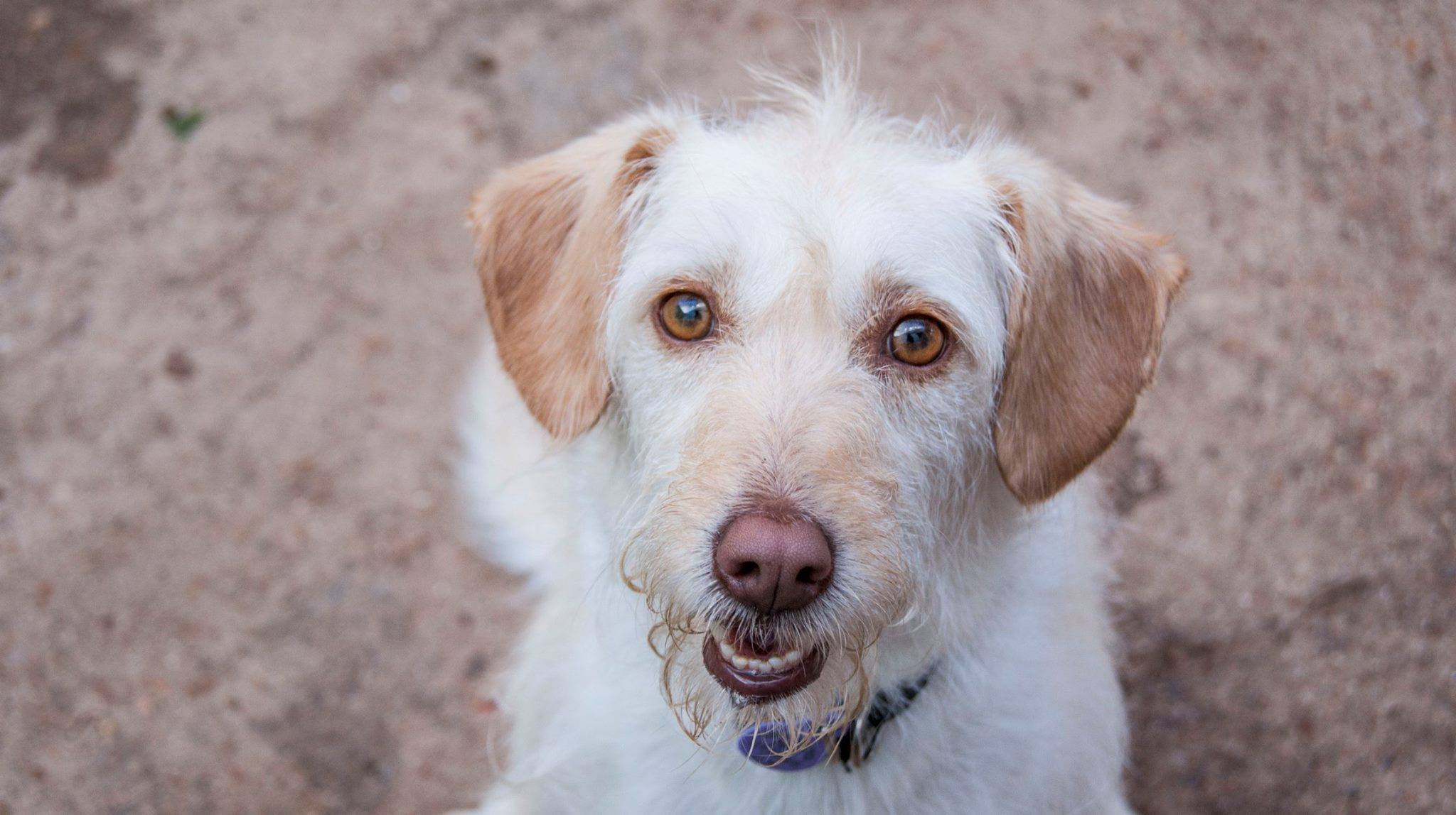 13698150_1259626697394441_8336216719424689322_o