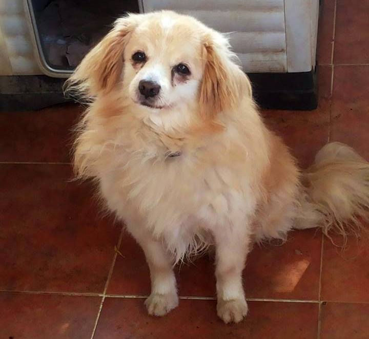 13699979_1257950304228747_187961947350048798_n