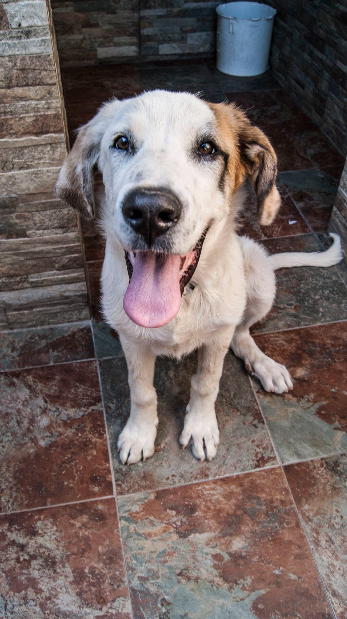 13701162_10209138578358119_8688993928535249404_o