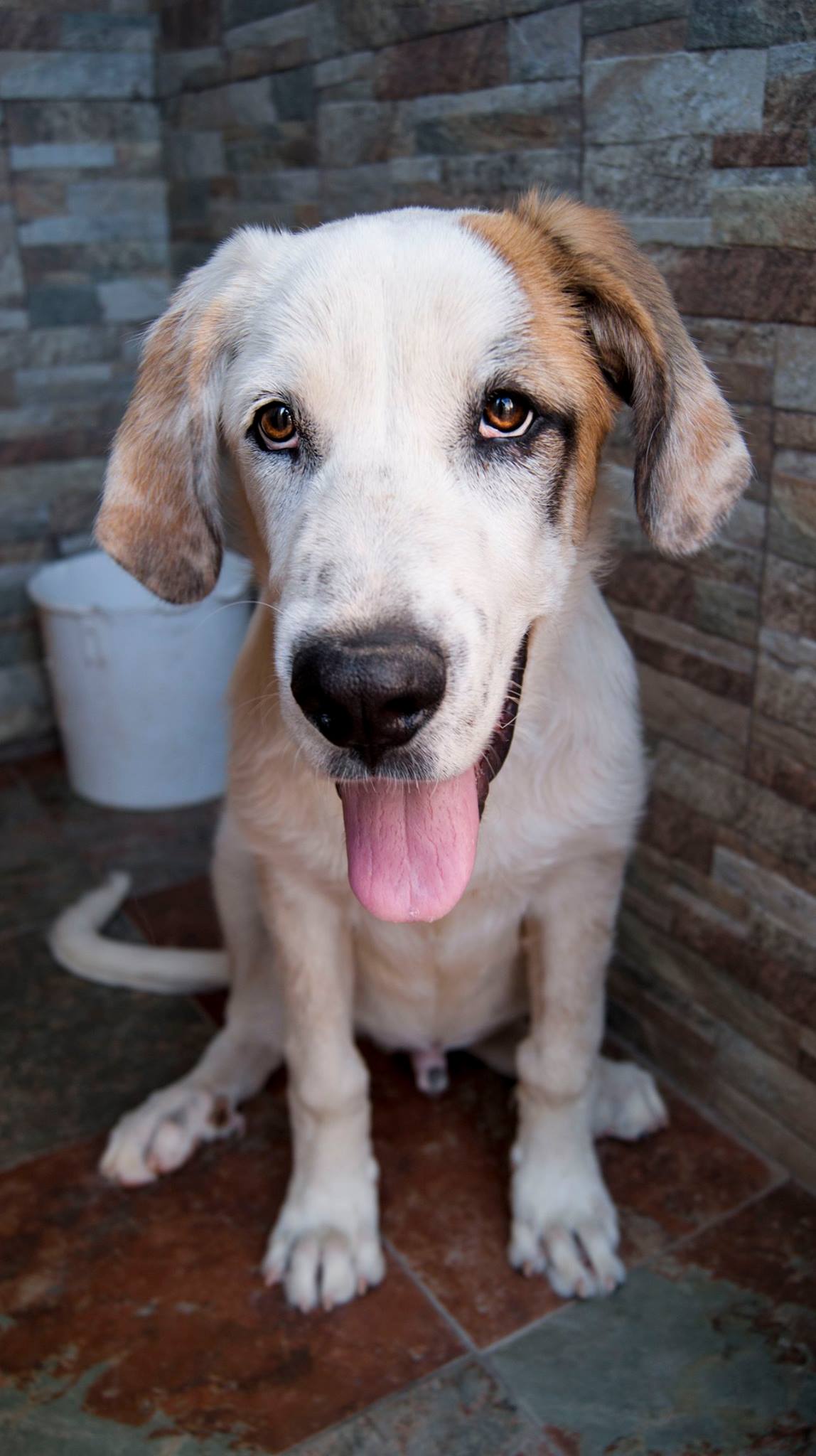 13717413_10209138578958134_5124186825121367995_o