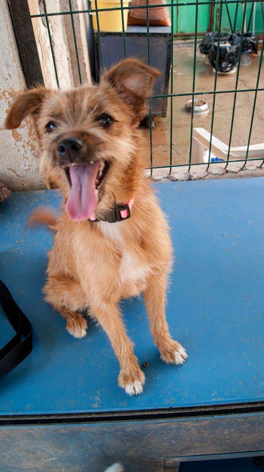 13731487_1256810161009428_1283228151774823029_n