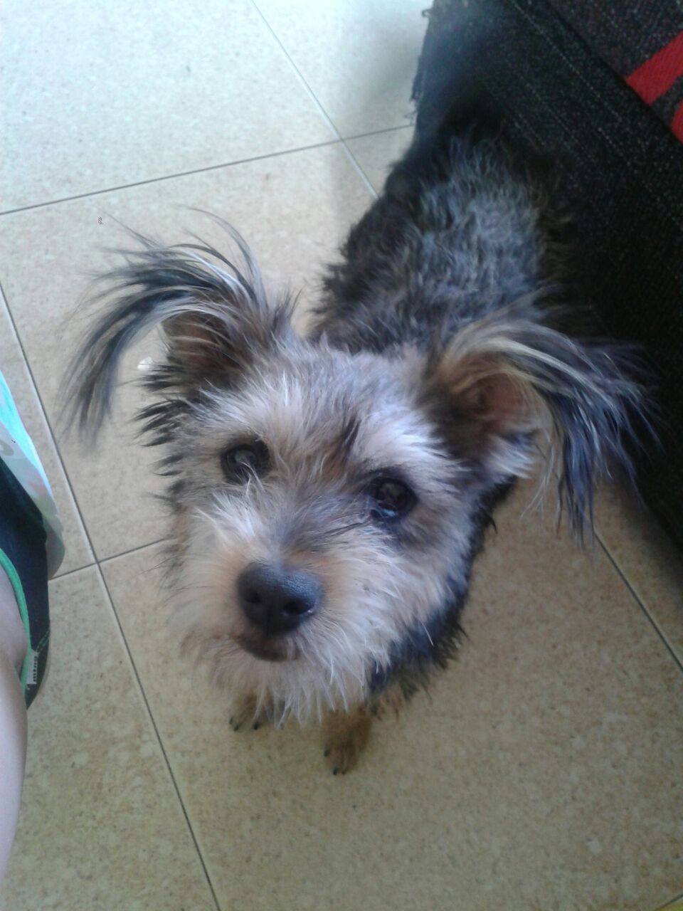 13737489_1258590774164700_7683645076863280264_o