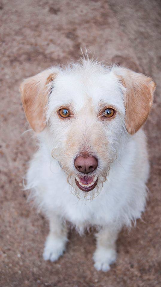 13754541_1259626647394446_9123903280497675603_n