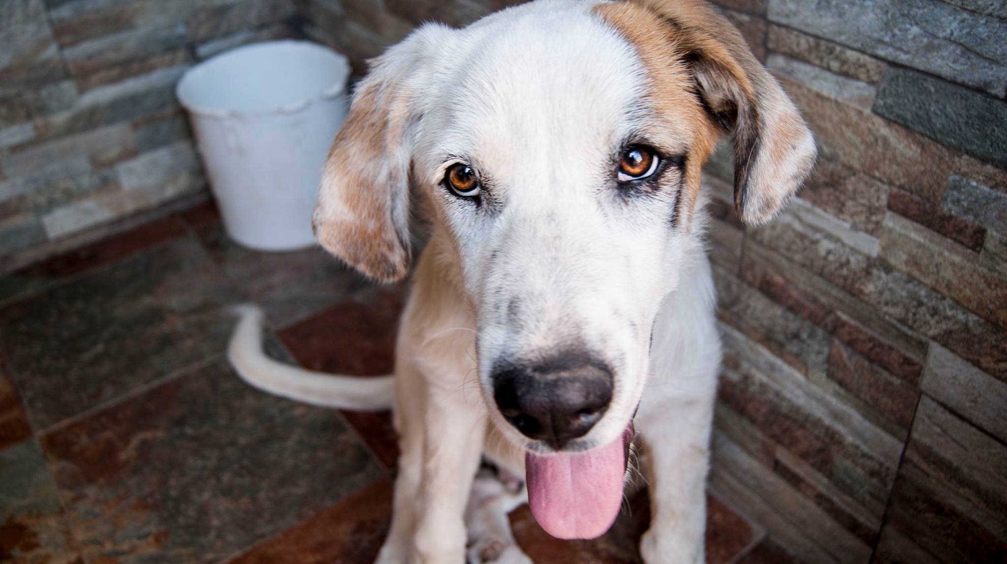 13765918_10209138579158139_7956454422167455991_o