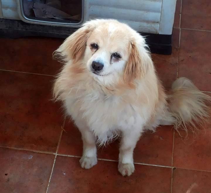 13770451_1257950300895414_7524061352345380411_n