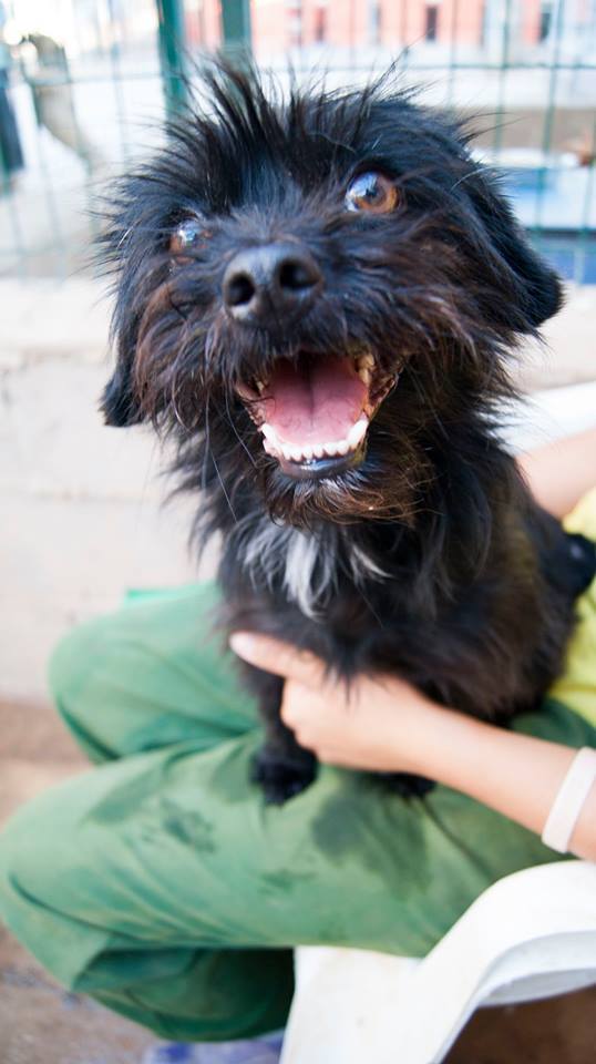 13781705_1257956264228151_8572816380971424827_n