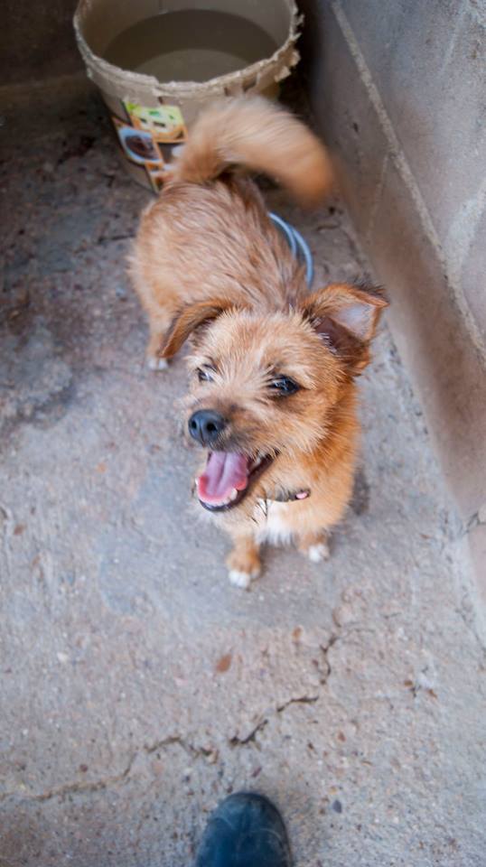 13781747_1256810457676065_4706163767957095727_n