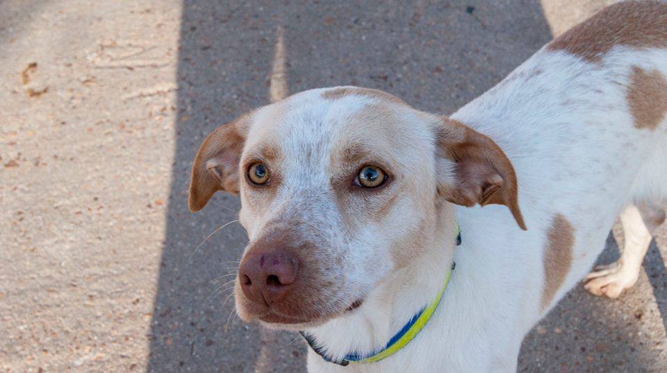 13012837_1197137040310074_1991850160522908841_n