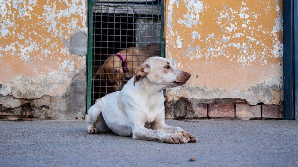 13076561_1197137043643407_5014470491398328995_n