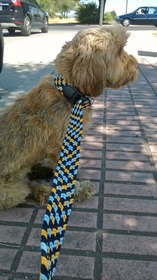 13652913_1074940225907766_1773001771465968844_o