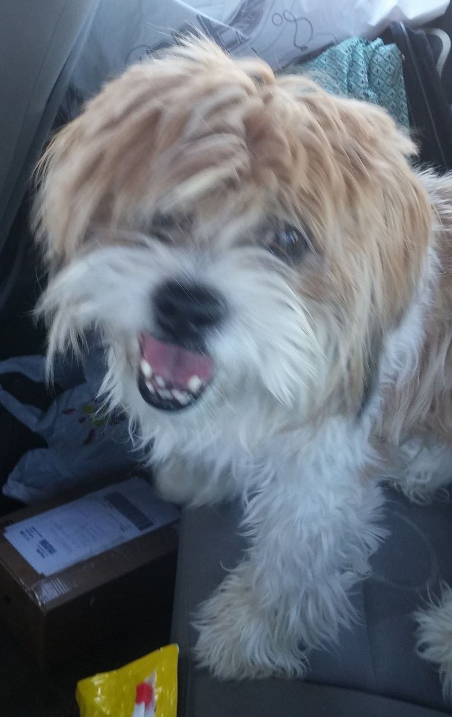 13662359_1266565946700516_6243581674414670899_o(1)