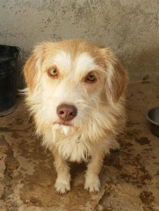 13909275_1270602219630222_474853612865755313_o