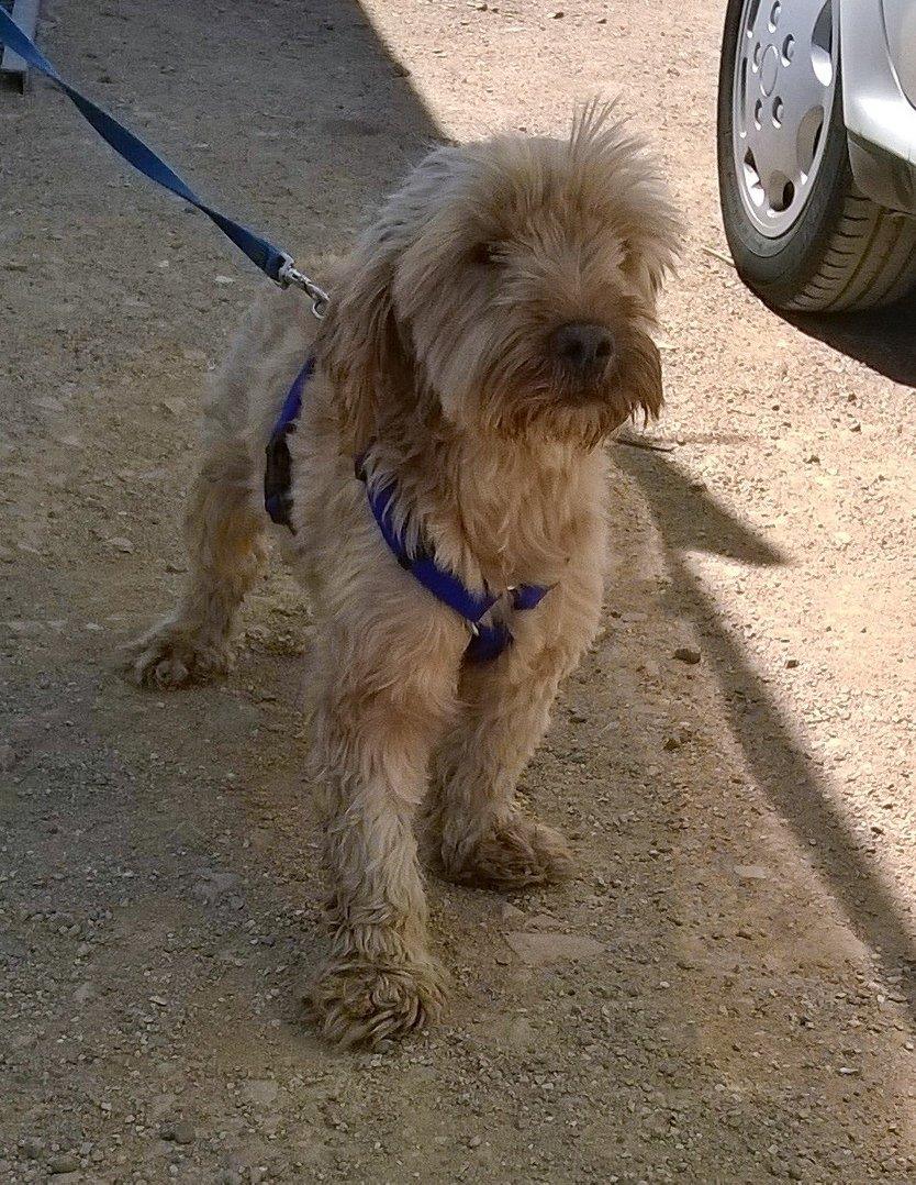 13913569_1076198379115284_4299878309897345974_o