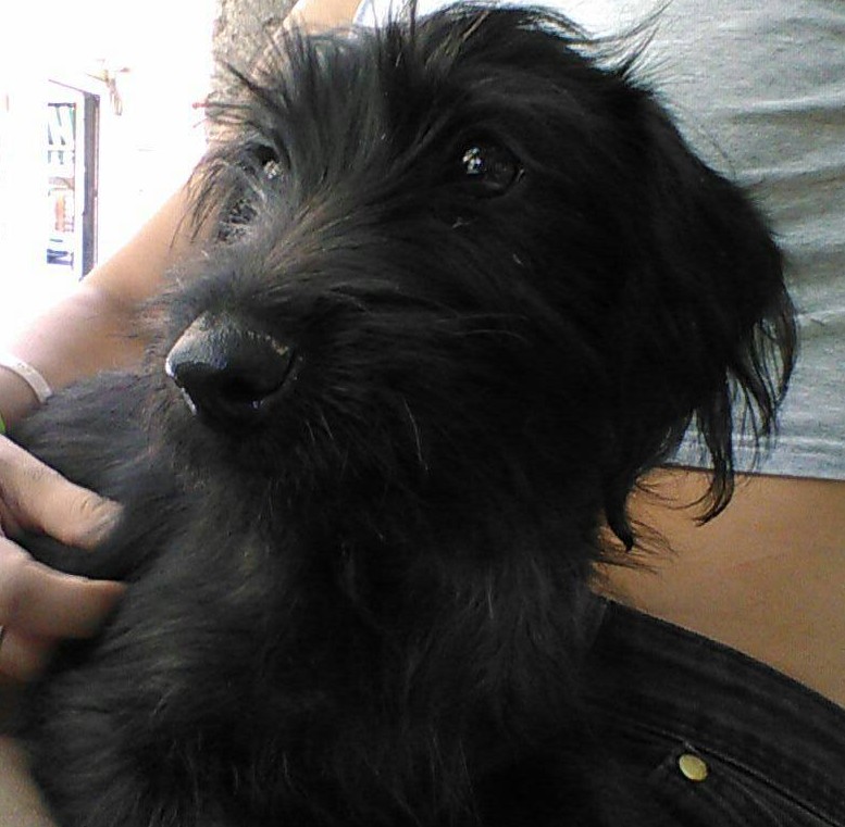 13925715_1269111533112624_5218068994274268617_o