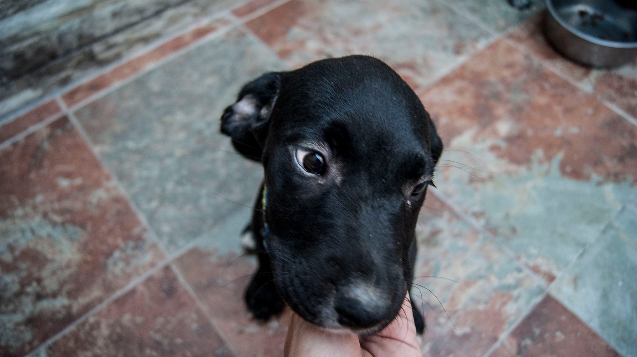 13958020_10209323855589934_6989885353743085252_o