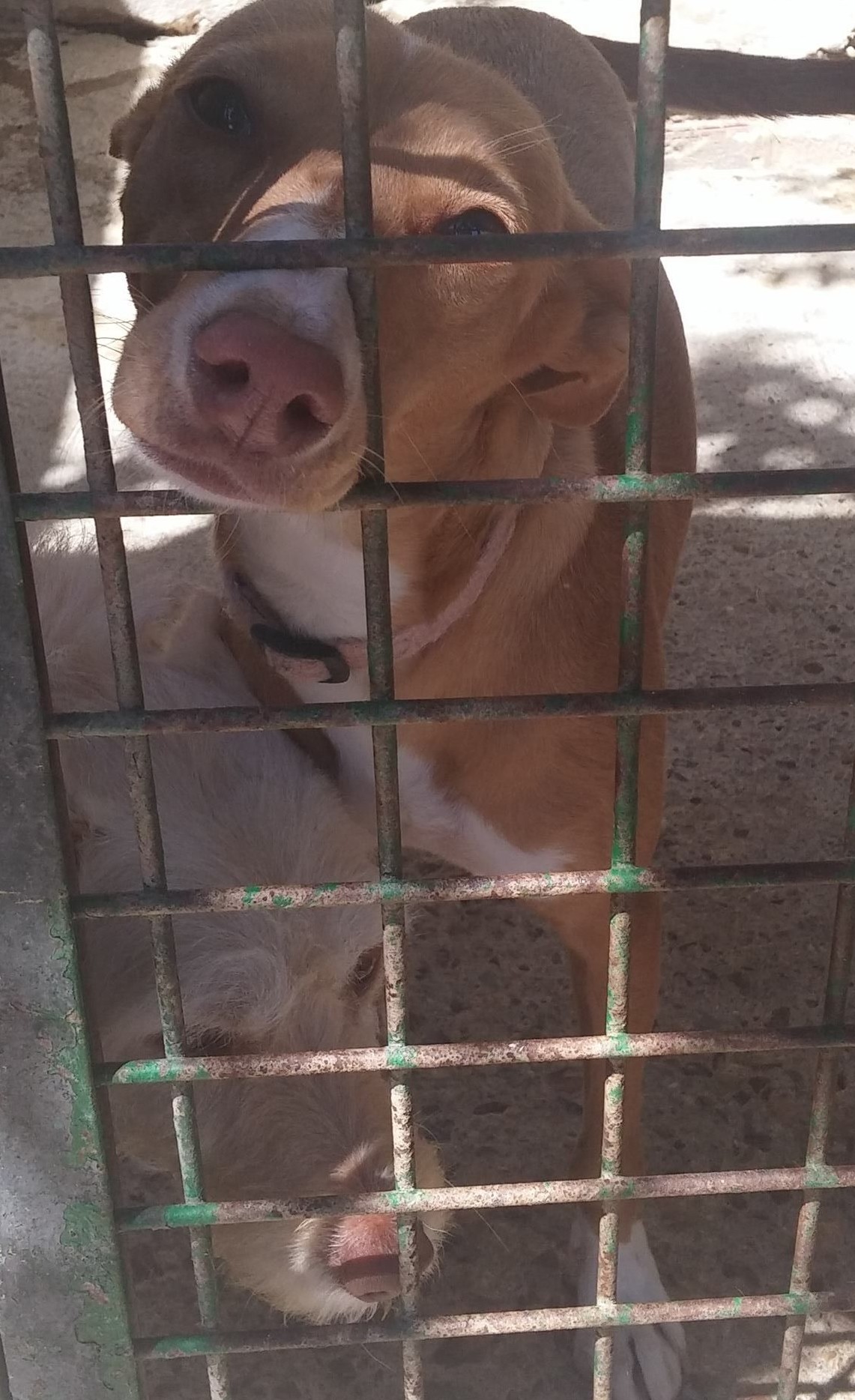 13958077_1266565763367201_2232874454093810555_o