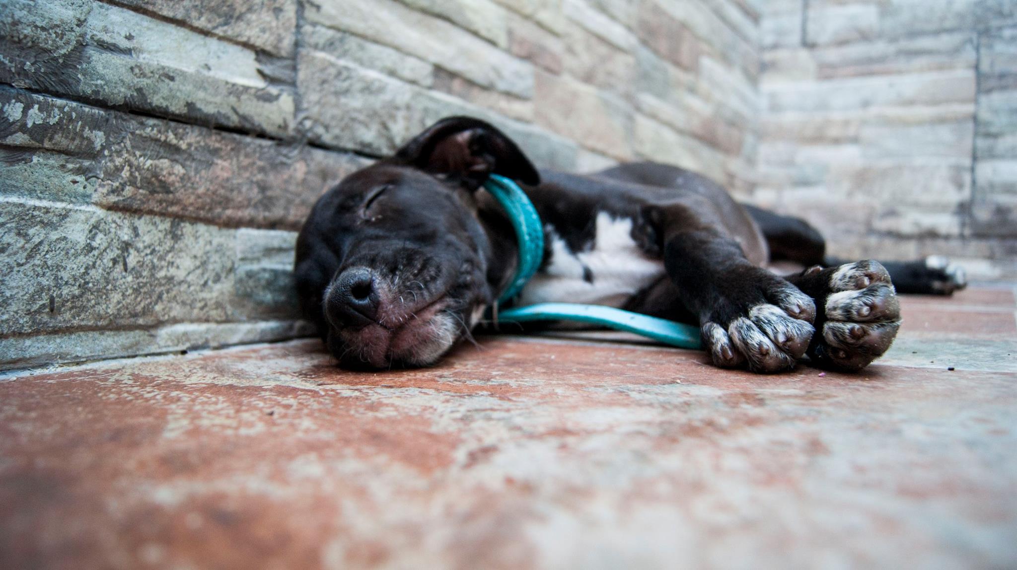 13995378_10209323853109872_254440840006637851_o