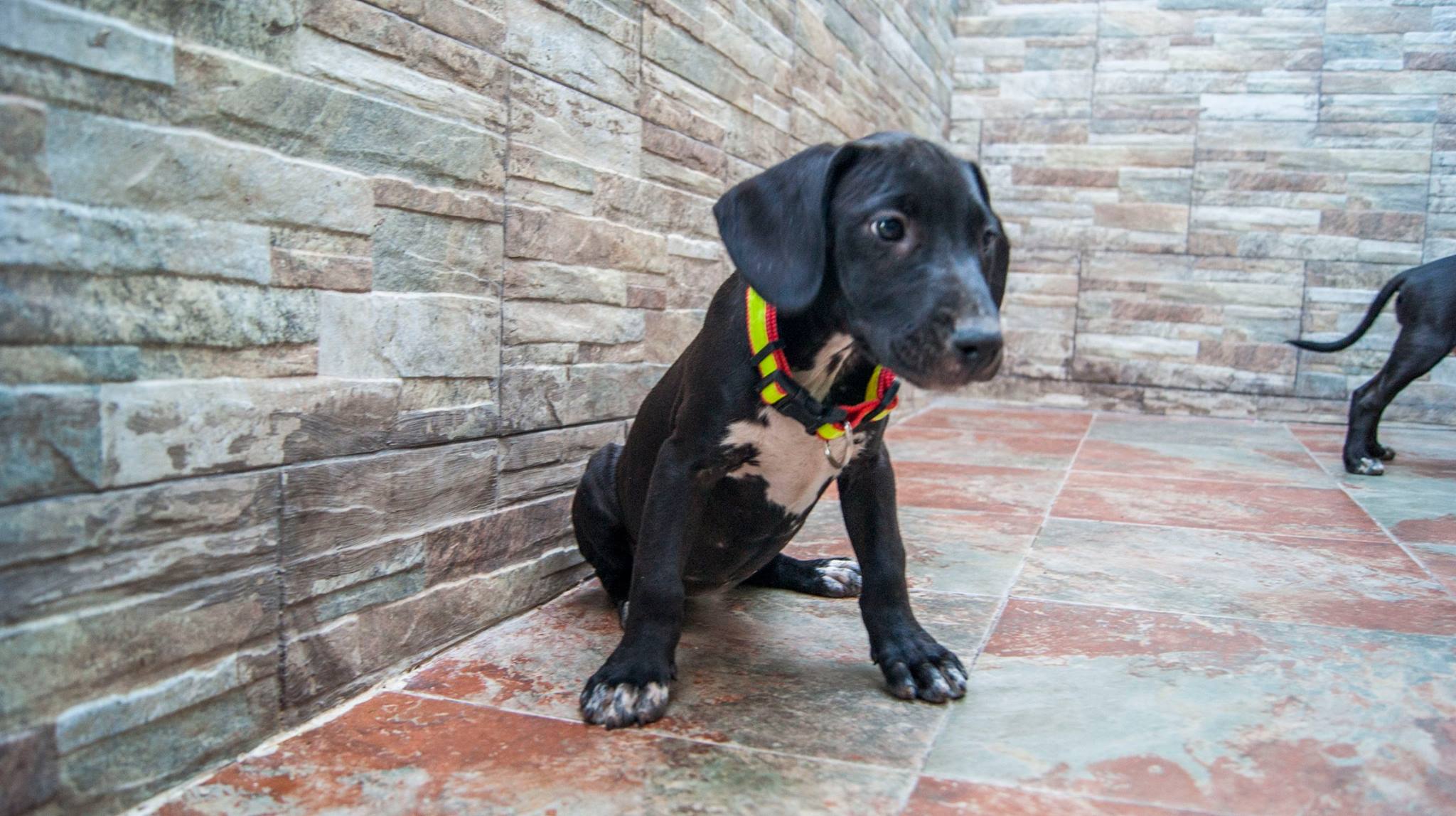 13996120_10209323857309977_5607608700275502674_o