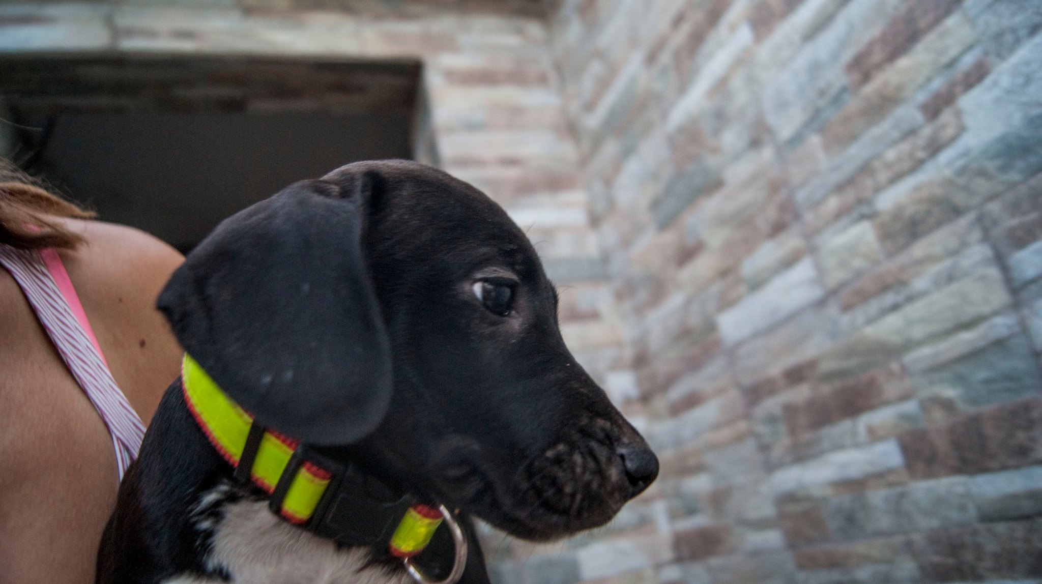 14066285_10209323860150048_7694077771133346214_o