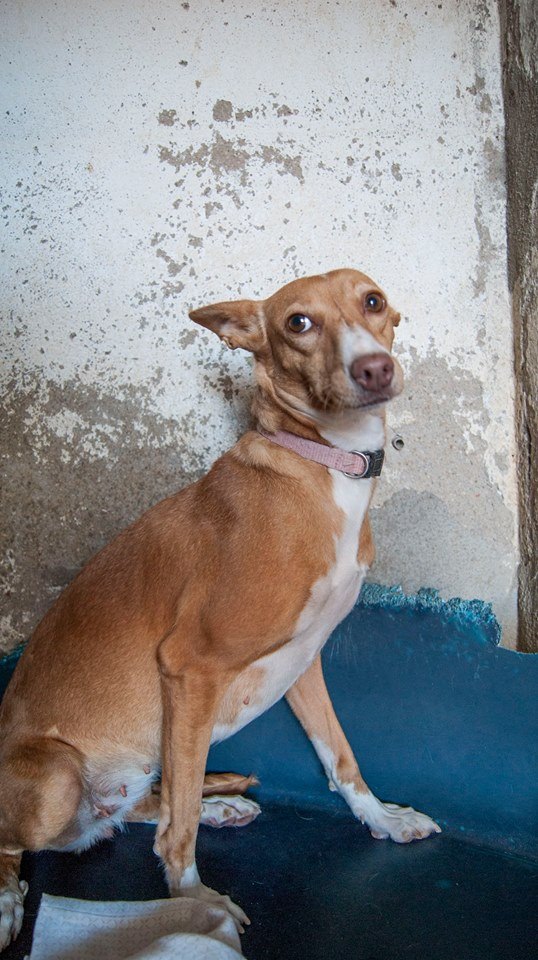 14079541_1296024600421317_4321733244785451057_n