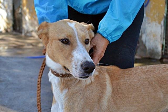 14642121_1340814959275614_2254745183777537811_n