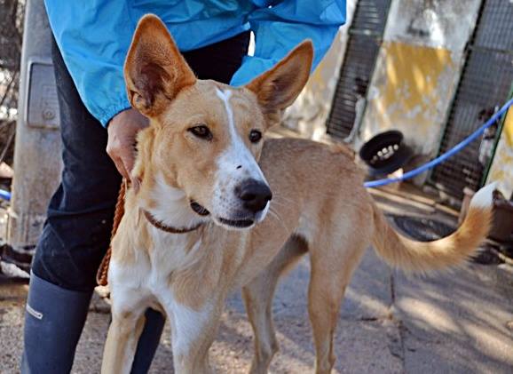 14650647_1340820952608348_6390158173835378013_n