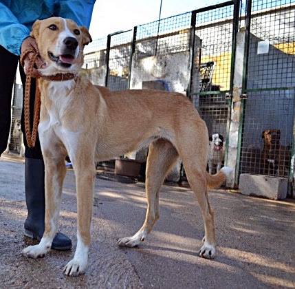 14671146_1340814629275647_5263973614288917582_n