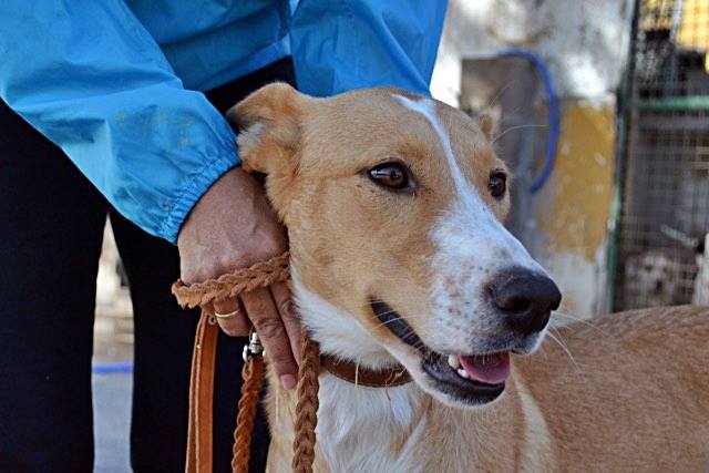 14716355_1340815232608920_2613290152708367707_n