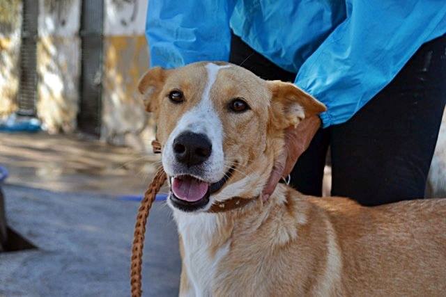 14717048_1340814999275610_649725325815546_n