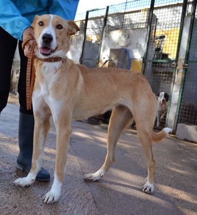 14721510_1340814625942314_5547783283559582067_n