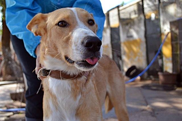 14721676_1340814639275646_6389440039183511017_n