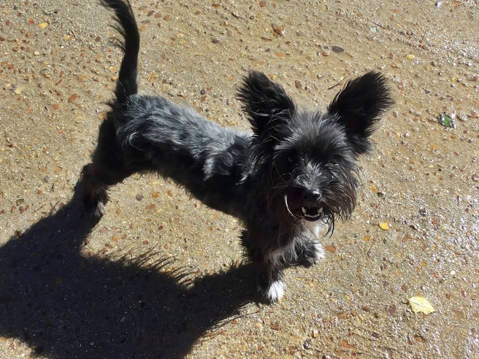 14440845_1320277817995995_8898070732687821990_n