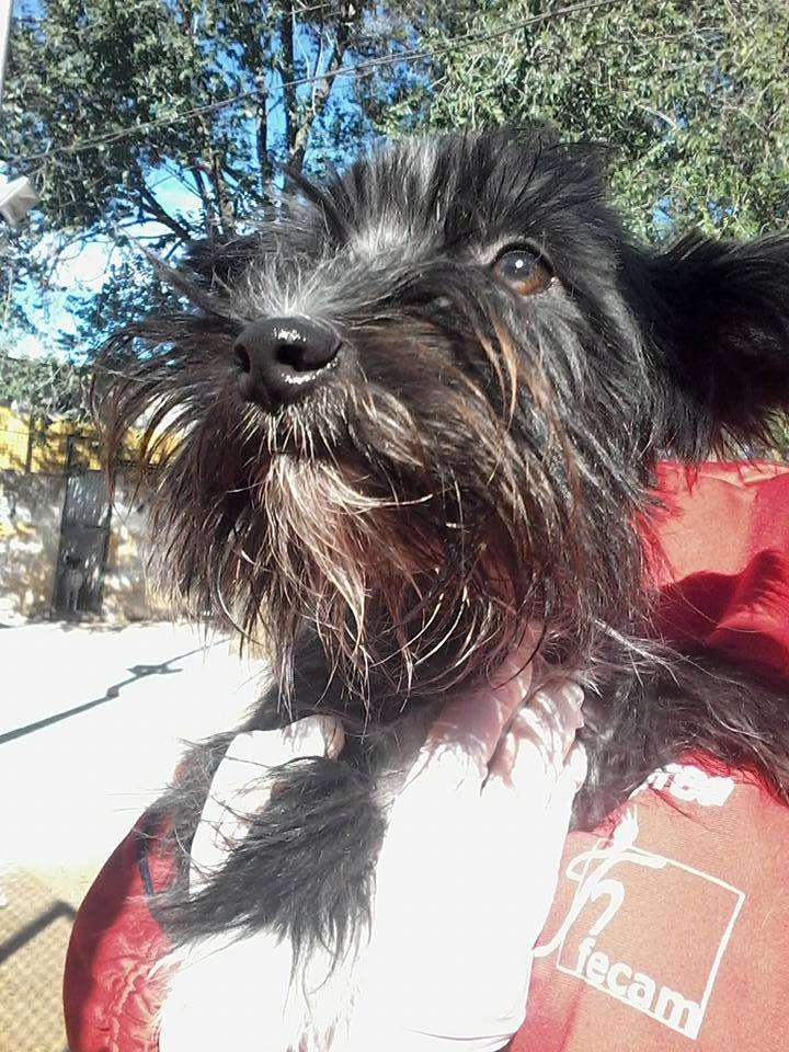 14446166_1320277821329328_5581382438452719316_n