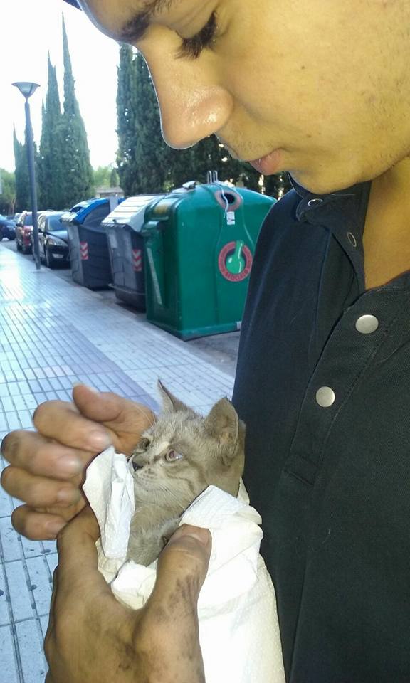 14446081_1323921037631673_1753314156176949579_n