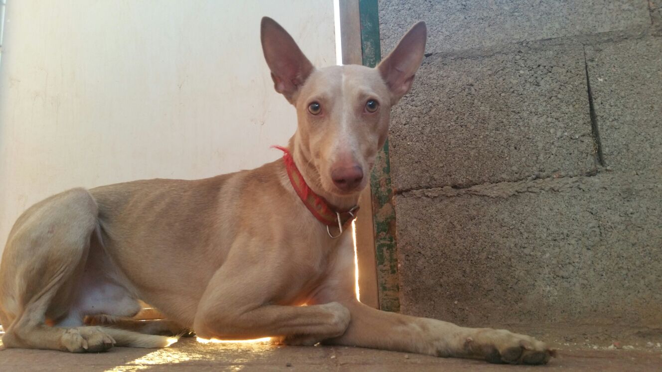 14567366_1331806416843135_2328755149656173727_o