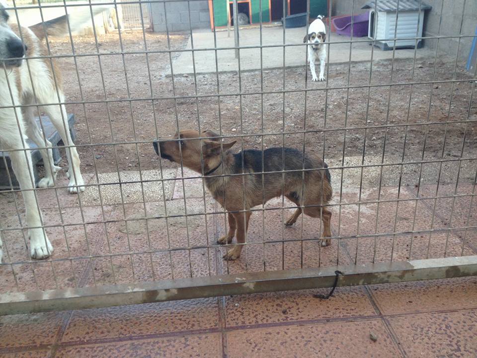 14633038_1337851492905294_2033672154259586713_n