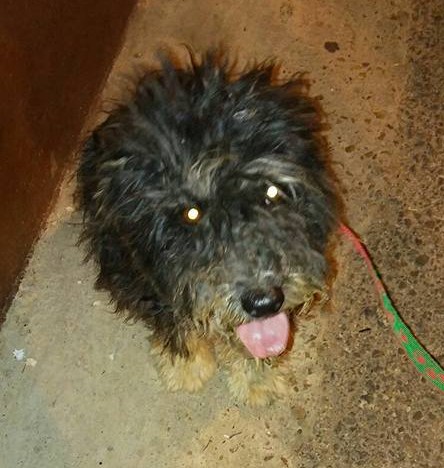 14671311_1341803622510081_4128137669906024948_n