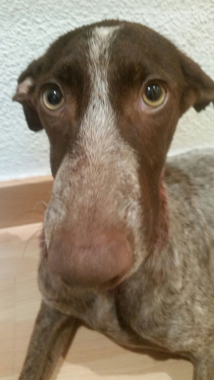 14691179_1333564796667297_1222379925507226157_o