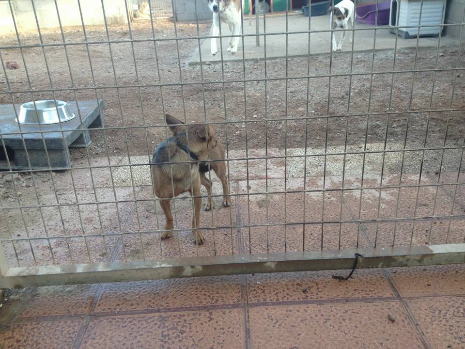 14702262_1337851409571969_4760646425151819905_n