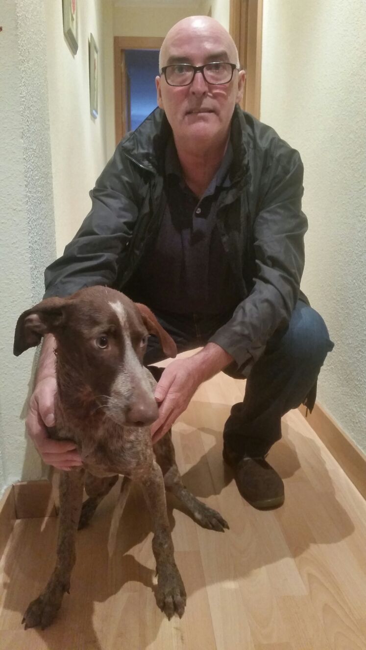 14708058_1333564683333975_4199249257612860620_o