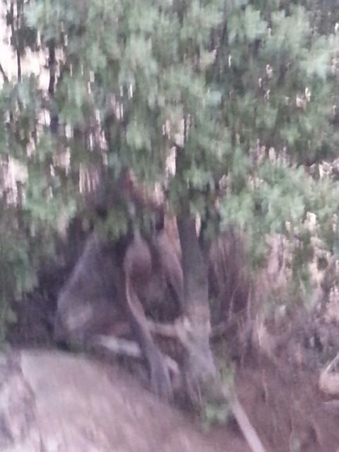 14708269_1333564766667300_63562621007926151_n1