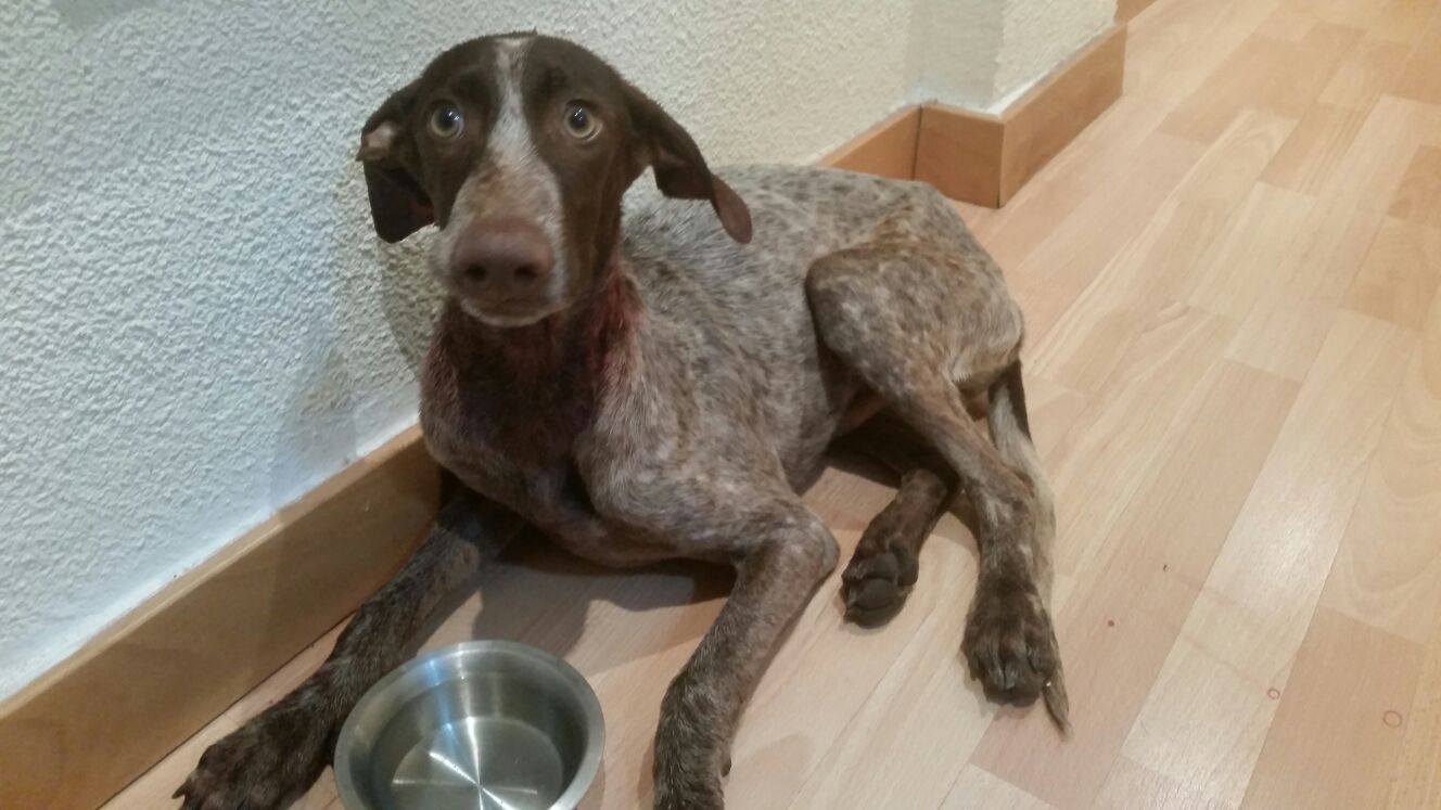 14714807_1333564823333961_3891647015338186665_o