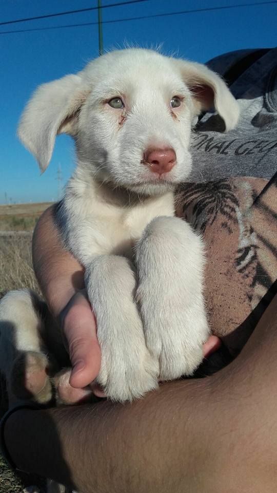 14600904_10206138841710583_4786592388054859455_n